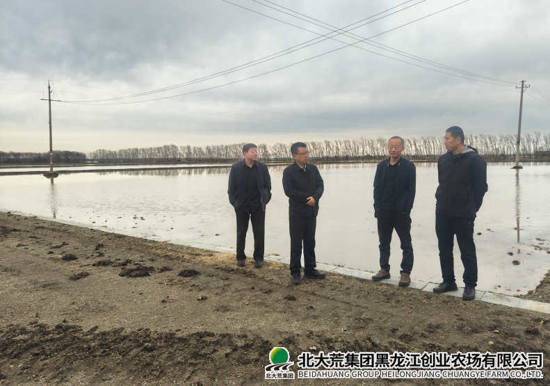 微信图片_20260419132929_59_6.png