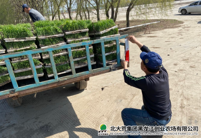 微信图片_2026-05-12_090615_839.png