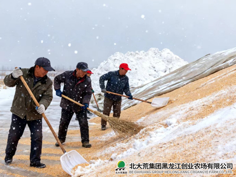 微信截图_20251113083045_副本800.png 微信截图_20251113083045_副本800.png