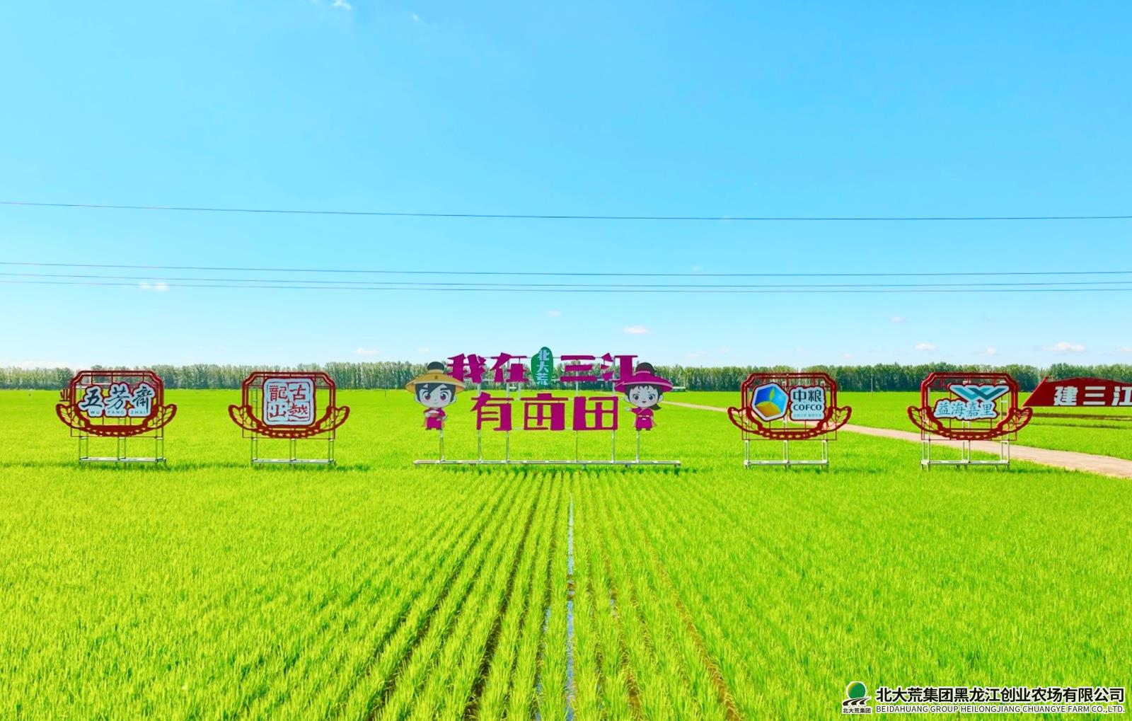 13821745289200_.pic_hd 2.jpg