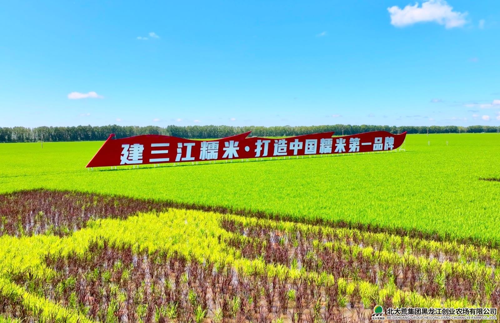 13831745289223_.pic_hd 2.jpg