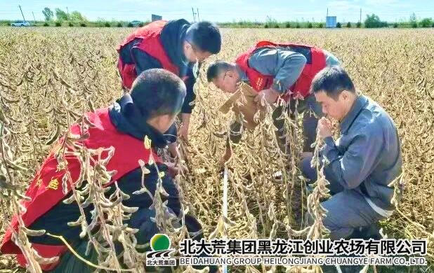 640-1 2.jpg 640-1 2.jpg