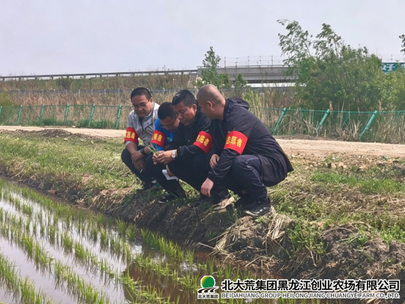 QQ20260528-071352_副本800.png