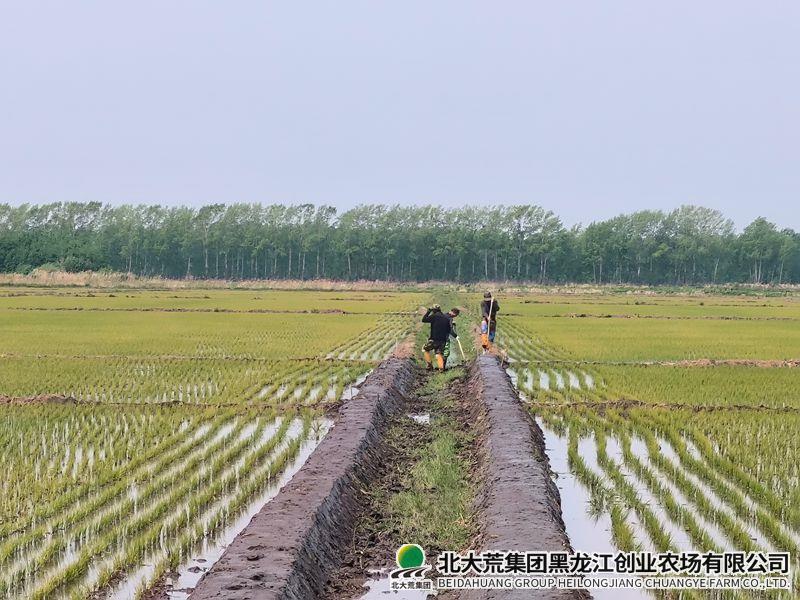 微信图片_20260528102035_副本800.jpg