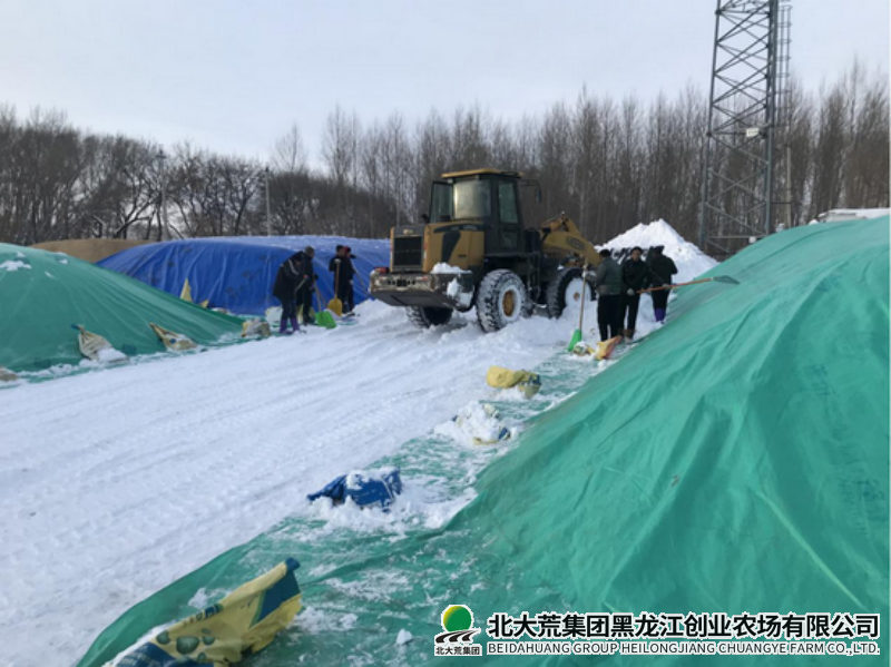 晒场清雪.png 晒场清雪.png