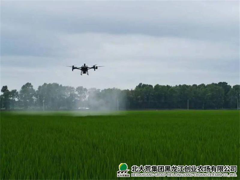 t04affc9640defee46a.jpg