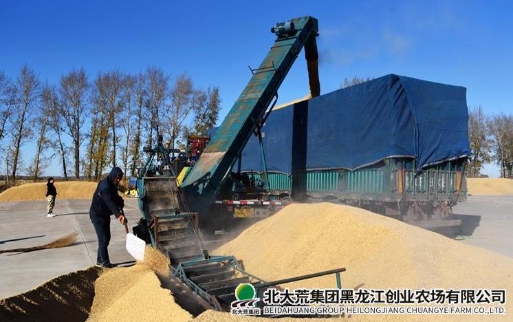 WechatIMG3172.jpg WechatIMG3172.jpg