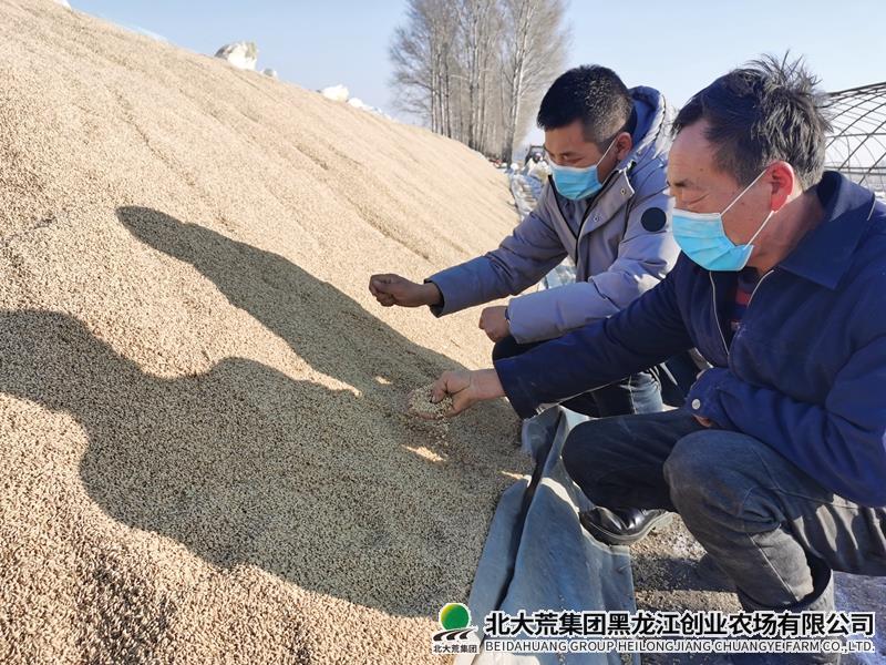 IMG_20210104_104537.jpg IMG_20210104_104537.jpg